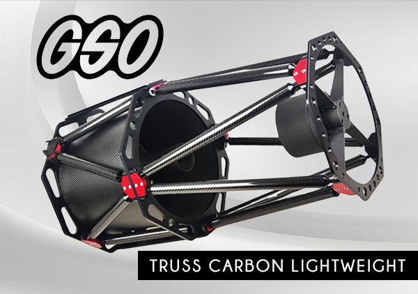 LWGSO